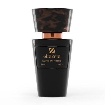 Herrenparfüm mit 30% Essenz - 70 ml Nr.079